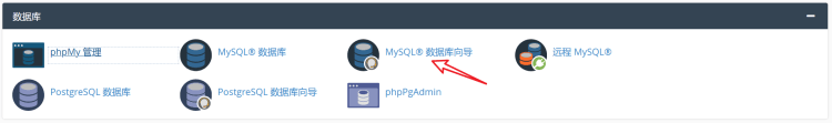 一篇文章学会 cPanel 虚拟主机面板使用教程-图片7